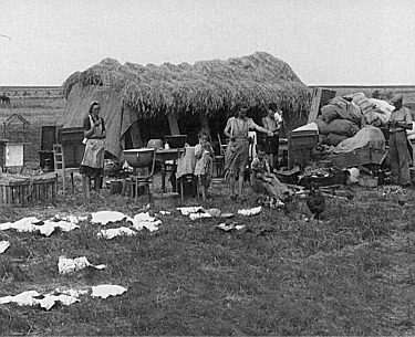 Sztyeppés területre deportált német család